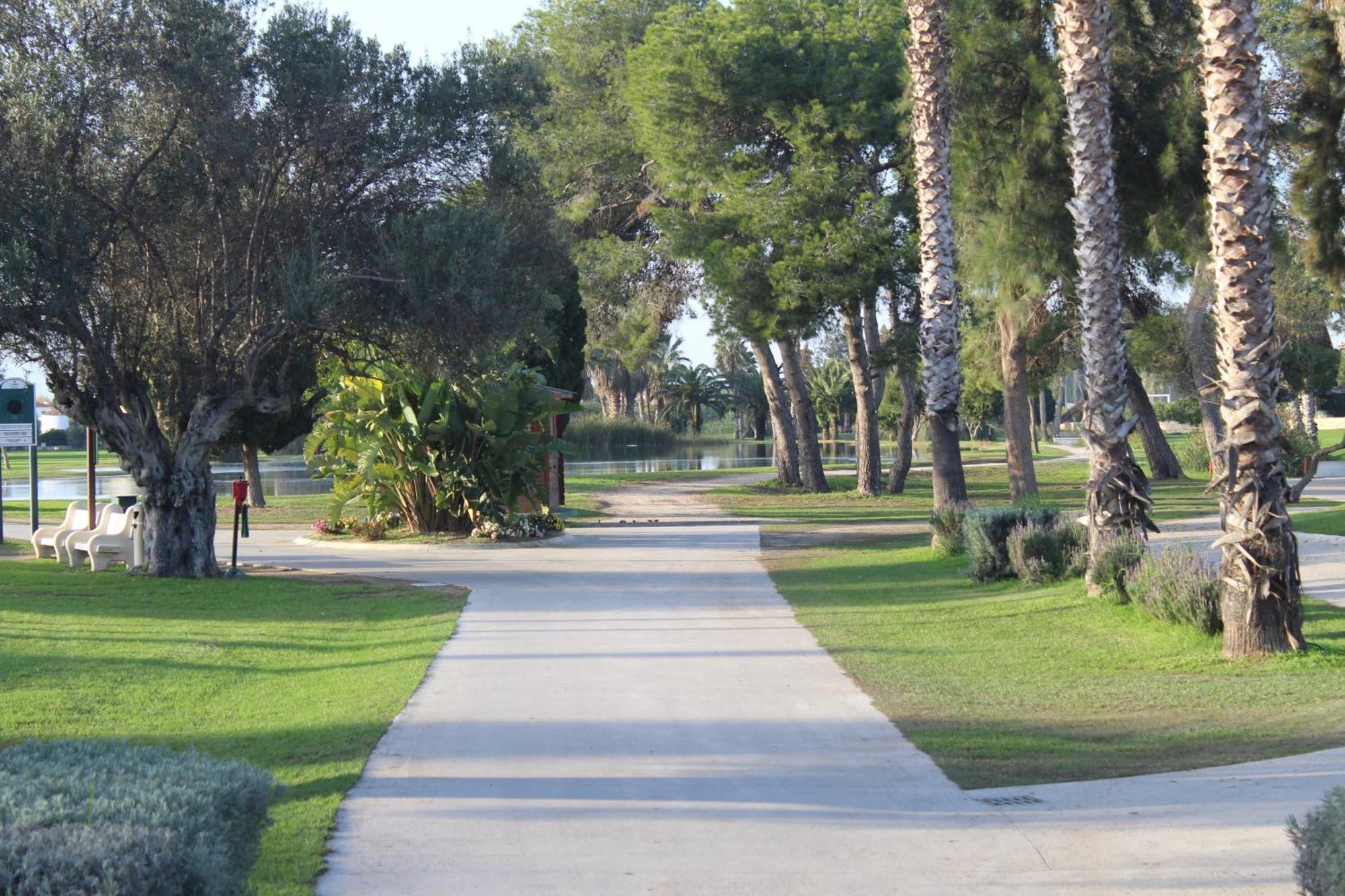 Casa Celidonia , Plage De أوليفا المظهر الخارجي الصورة